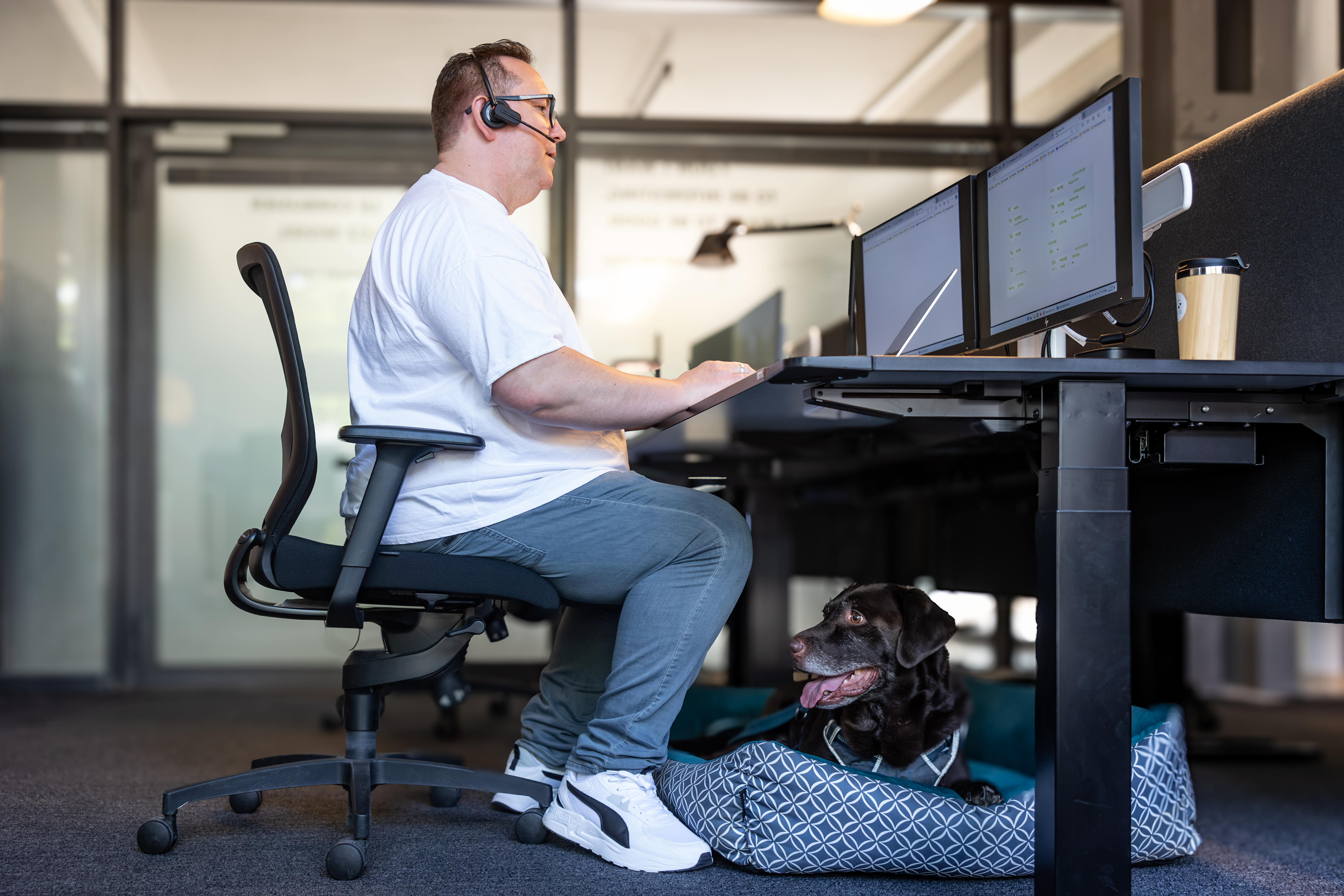 Ein Mann sitzt am Schreibtisch und arbeitet, während sein Bürohund es sich unter dem Tisch im Körbchen bequem gemacht hat.